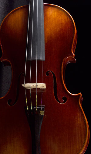 violon-1p-alefrancois-2.jpg